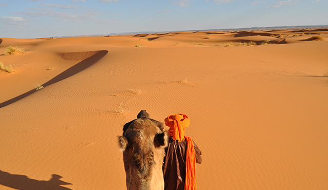 サハラ砂漠：らくだに乗ってサンライズは一生の思い出
