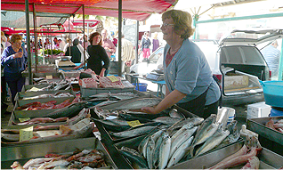 マーケットでは新鮮な魚介が売られています
