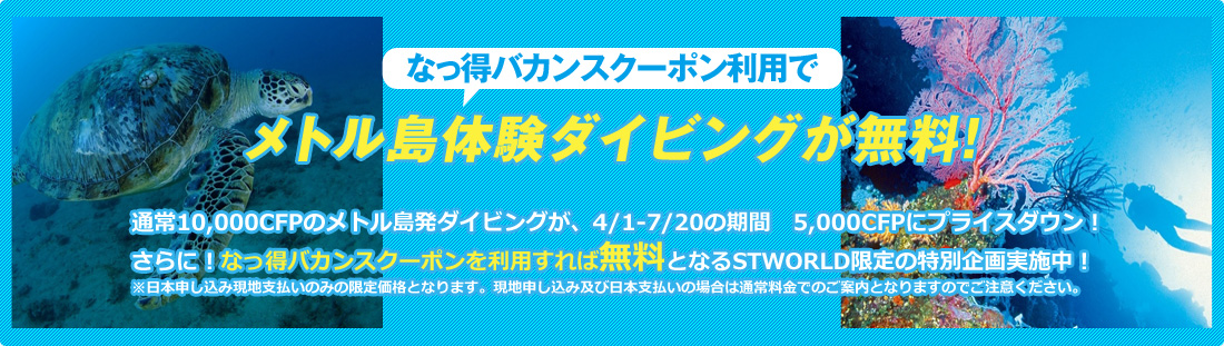 メトル島体験ダイビングが無料!
