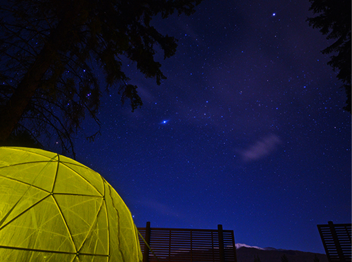 バブルテントではプライベートに星空を楽しめます