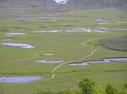 シベリア最大級の湿原