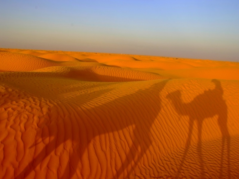 大自然を体感！チュニジアのサハラ砂漠