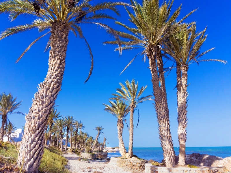 欧米人人気の地中海リゾート地ジェルバ島