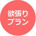 欲張りプラン