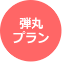 弾丸プラン