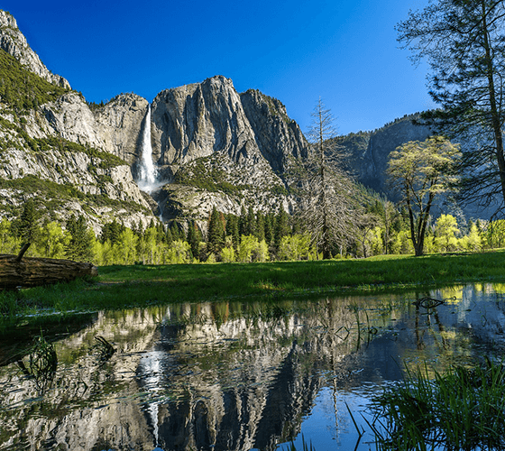ヨセミテ国立公園 写真集 100年間 Yosemite 洋書 ヨセミテ国立公園ツアー 全米で大人気の世界遺産を堪能｜海外旅行のSTW