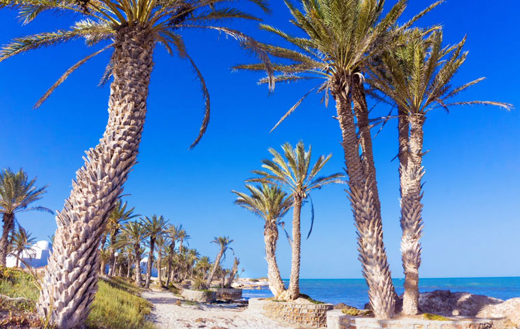 地中海リゾートとして欧米人に人気の高いジェルバ島