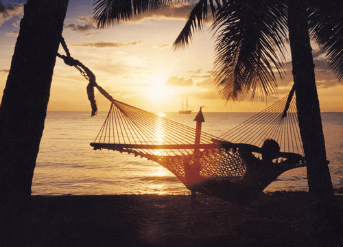 フィジーイメージ