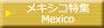 女子旅 メキシコ