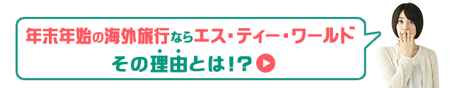 年末年始の海外旅行ならエス・ティー・ワールドその理由とは