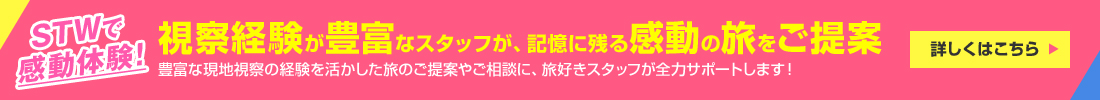 STWで感動体験！視察経験が豊富なスタッフが、記憶に残る感動の旅をご提案 詳しくはこちら