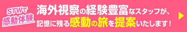 STWで感動体験！視察経験が豊富なスタッフが、記憶に残る感動の旅をご提案