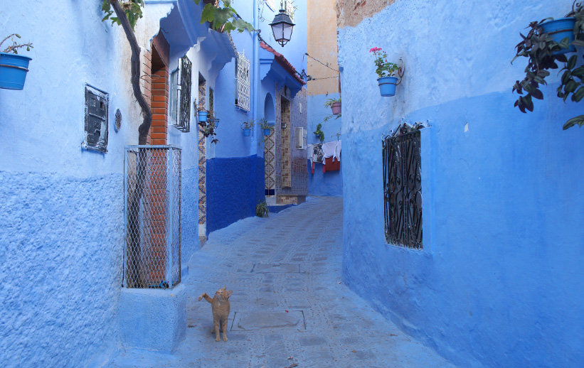モロッコ一人旅 イメージ