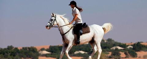 砂漠で乗馬のアクティビティもあります