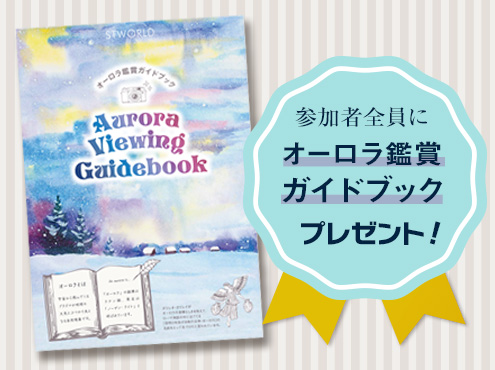 日本語添乗員サポート