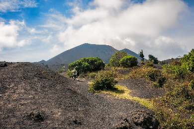 【ひとり旅応援】アンティグア発　大迫力の流れる溶岩に大接近　パカヤ火山ツアー