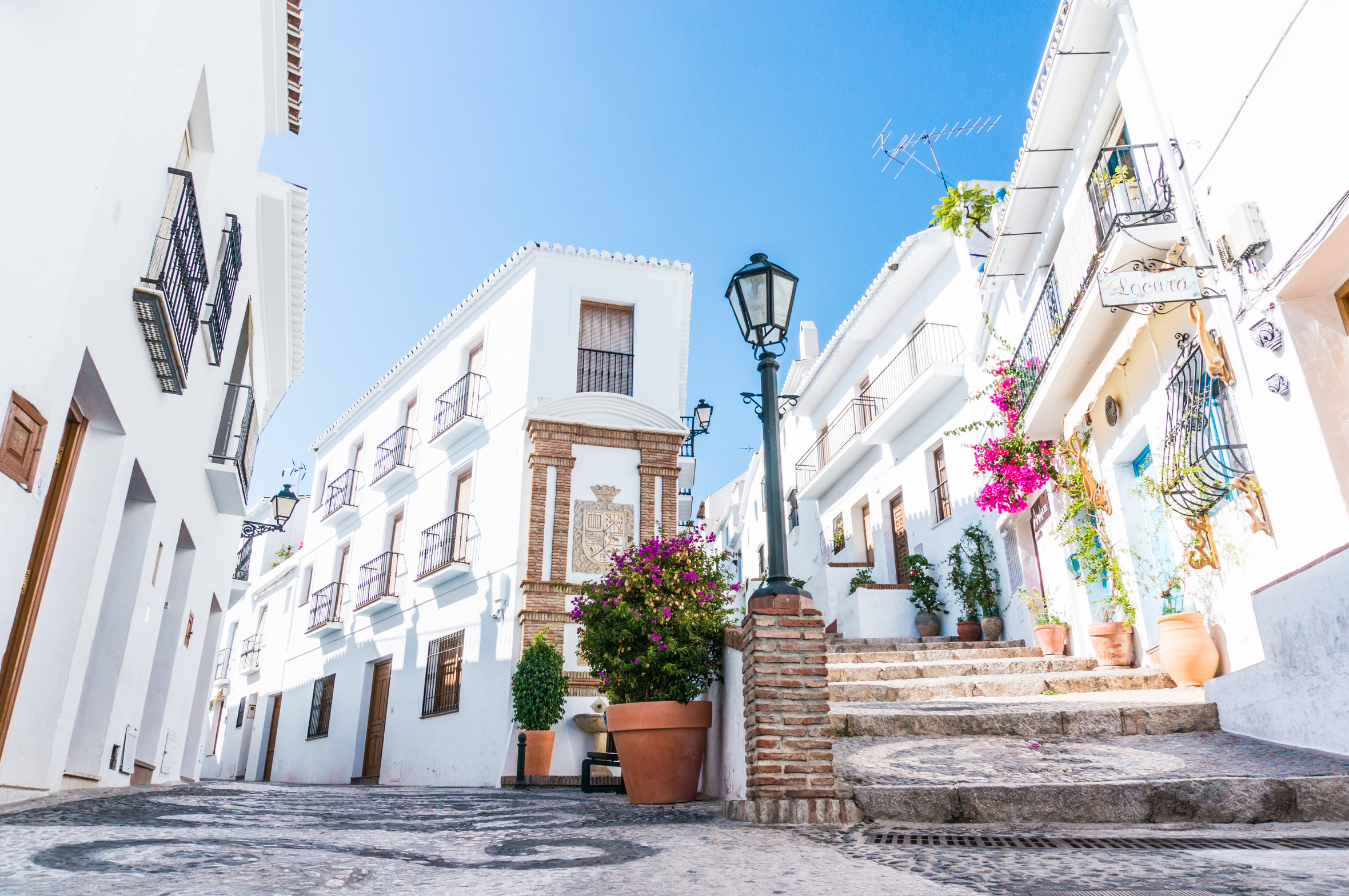 【マラガ発着】専用車でアンダルシアの街・村を周るプライベートツアー！～白い街ミハス、スペインで最も美しい村フリヒリアナ～