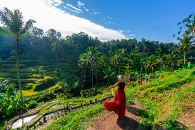 【早朝プラン】キンタマーニ高原からのサンライズ鑑賞
絶景を眺めながらの朝食をどうぞ