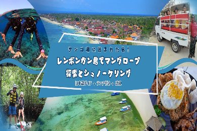 【日本語ガイド】レンボンガン島でマングローブ探索とシュノーケル サンゴ礁に囲まれた島