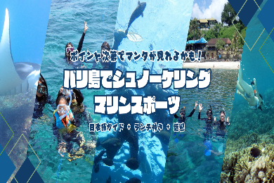 【マリンスポーツ】バリ島 スノーケリング! ポイント次第でマンタが見れるかも!