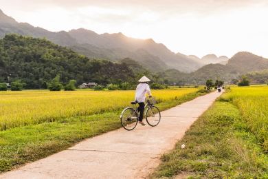 【半日】自転車でのどかな田園風景をサイクリング＆水牛乗り体験！野菜村を巡った後はココナッツジャングルでお椀ボートのリバークルーズ！