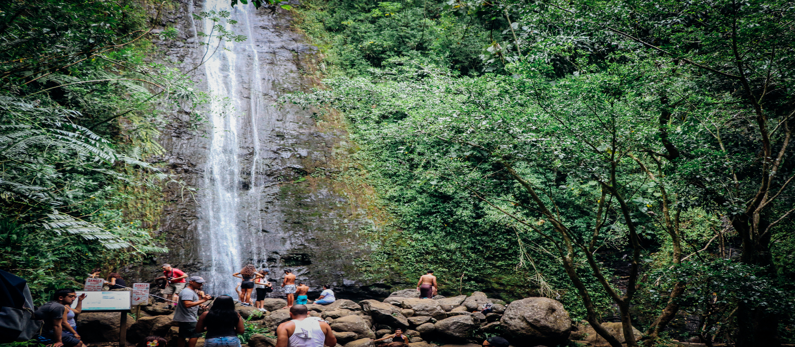 現地体験オプショナルツアー予約 トリップレックス 海外旅行のstw ホノルル オアフ 日本語ガイド ひとり旅応援 ハワイ の美しい自然に触れる 神秘の森のエネルギーを吸収 マノアの滝ハイキングツアー