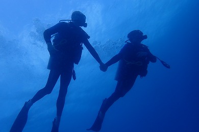 グリーンドルフィンDiving Shop<br>
ダイビングライセンス取得(PADI O/W)<br>
(２日間)<br>
【日本人インストラクター】<br>
器材料込み<br>