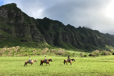 クアロアランチ<br>
ハワイの大自然を満喫！<br>
乗馬体験ツアー<br>
（約7時間）<br>
ワイキキ往復送迎付<br>
＜ひとり旅応援＞<br>
