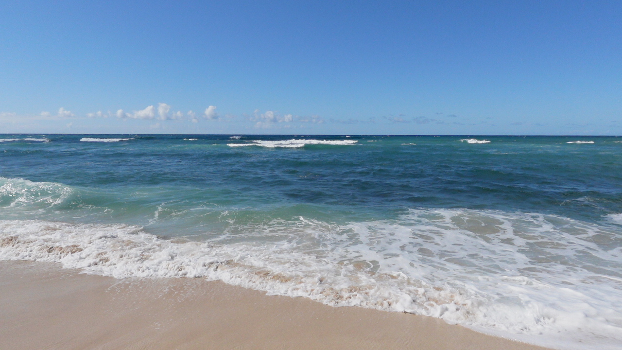 英語ツアーが不安な方にぴったり♪ 
日本人アシスタント同行プラン

