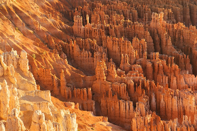 ラスベガス観光現地体験オプショナルツアー トリップレックス 海外旅行のstw