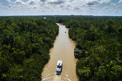 ブラジル旅行 ツアー 海外個人旅行のエス ティー ワールド