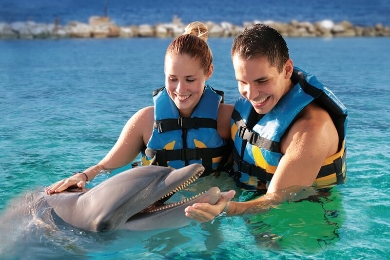 安心の往復送迎付　モンテゴベイ発　ジャマイカを遊びつくす！カリブ海を眺めながらイルカと遊ぼう☆選べるドルフィンプログラム＆ブルーホール