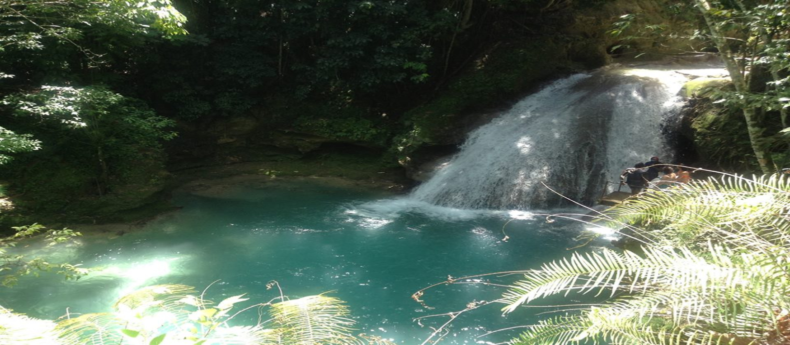 現地体験オプショナルツアー予約 トリップレックス 海外旅行のstw オーチョリオス 日本語ガイド 半日 安心の送迎付 ファーマーズマーケット見学と神秘的な青の世界ブルーホール アドベンチャーツアー