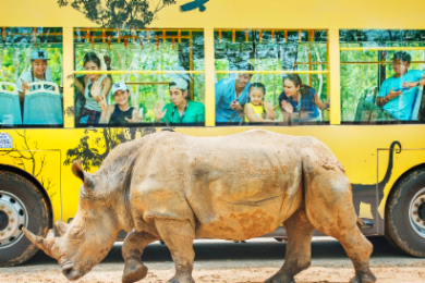 【チケット予約】
ヴィンパール・サファリ・フーコック