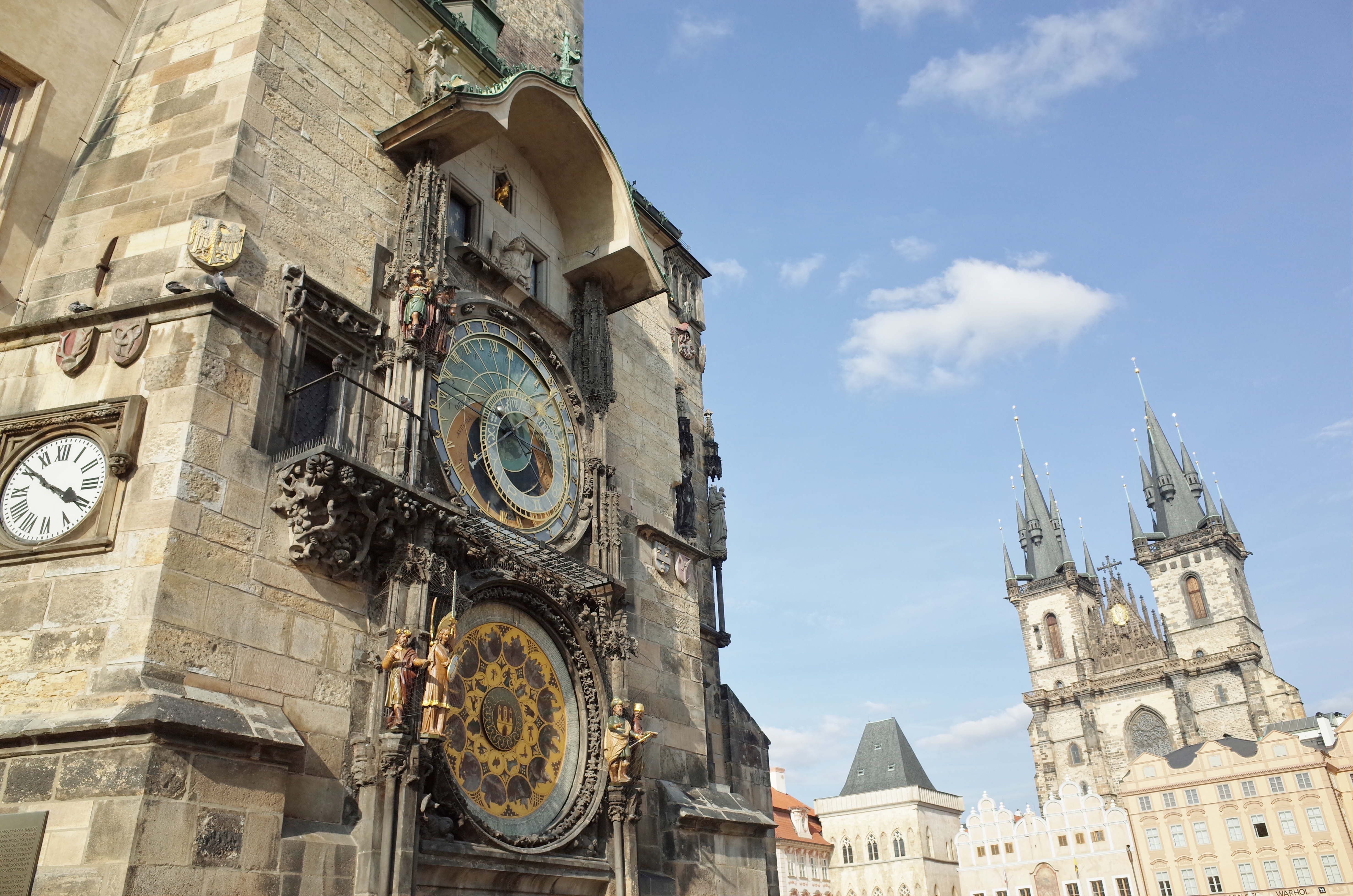 【終日】貸し切り日本語アシスタント　～8時間～