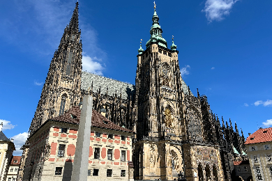 【終日】貸し切り日本語アシスタント　～8時間～