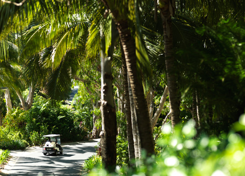 ハミルトン島イメージ2