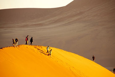 ナミブ砂漠の大砂丘を駆けおりる