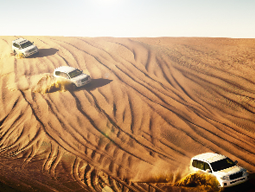 4WD砂漠サファリ