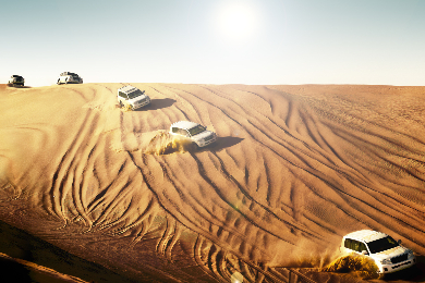 【午後半日】4WDで砂漠・砂丘を疾走！デザートサファリツアー　夕食付